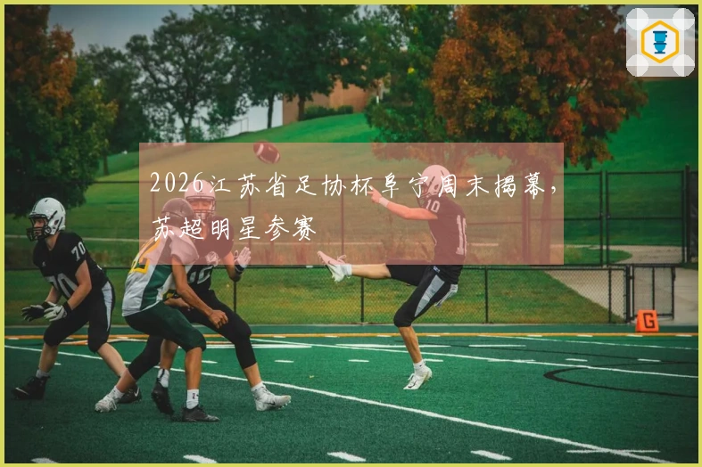 2026江苏省足协杯阜宁周末揭幕，苏超明星参赛